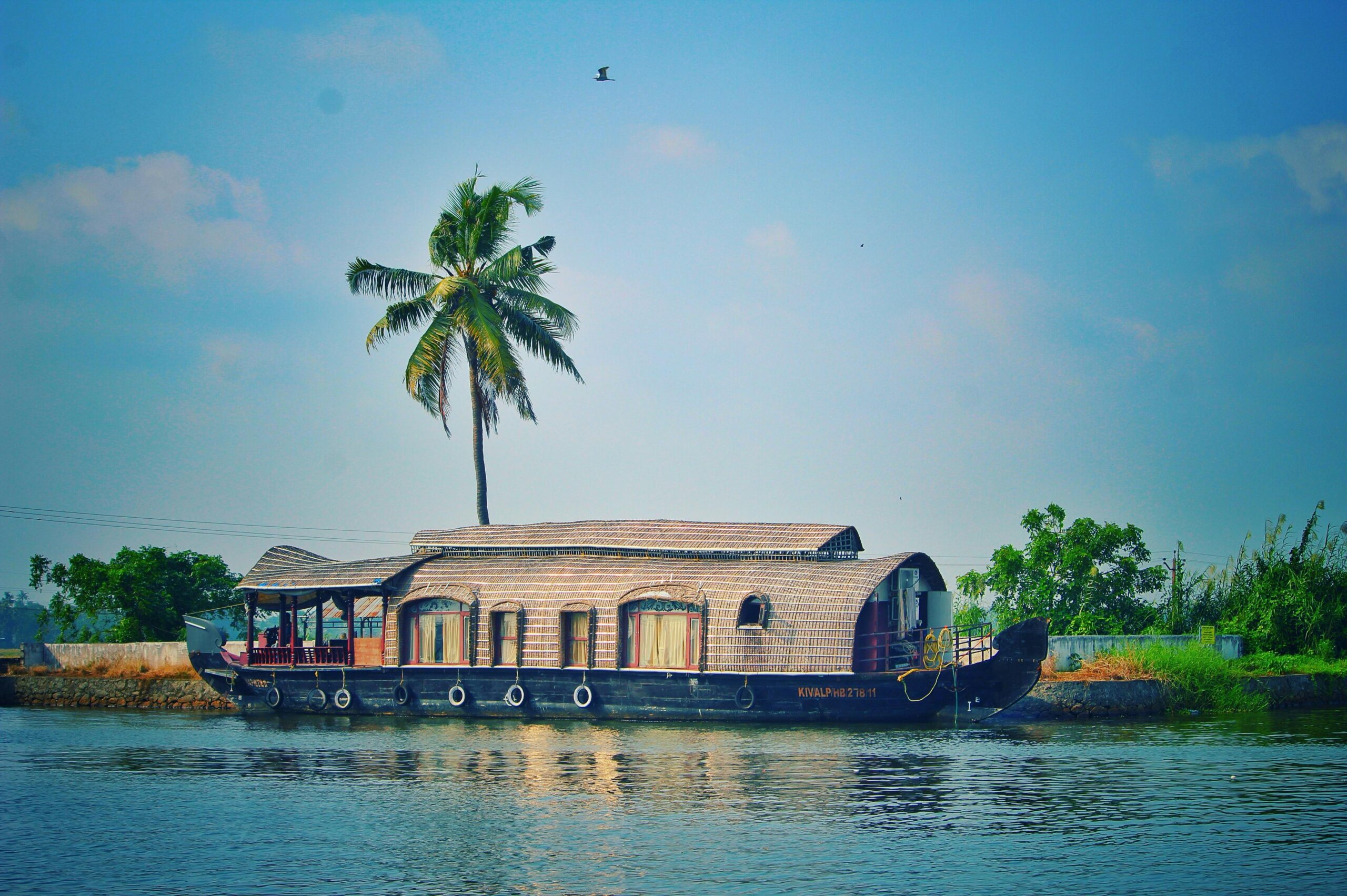Kerala Picturesque view of river with green palms on bank and shabby wooden boathouse under blue sky in tropical countryside